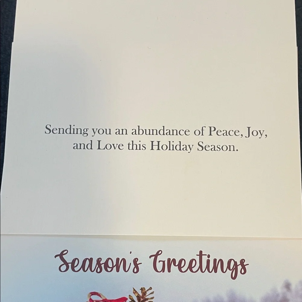 Holiday Greeting Cards Set of 24 nwt in box 4 designs